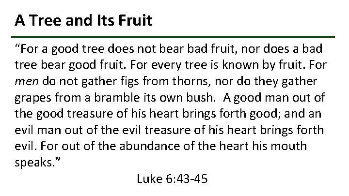 A Tree and Its Fruit “For a good tree does not bear bad fruit,