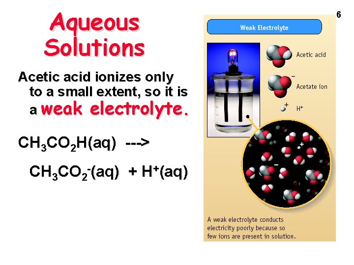 Aqueous Solutions Acetic acid ionizes only to a small extent, so it is a