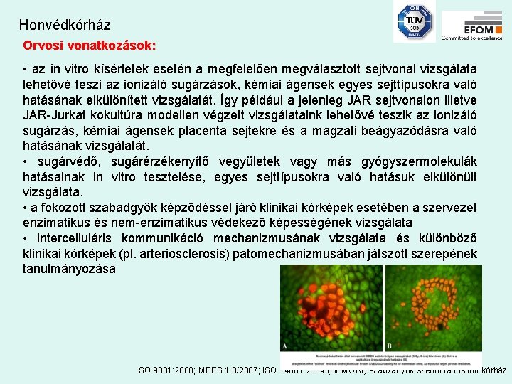 Honvédkórház Orvosi vonatkozások: • az in vitro kísérletek esetén a megfelelően megválasztott sejtvonal vizsgálata