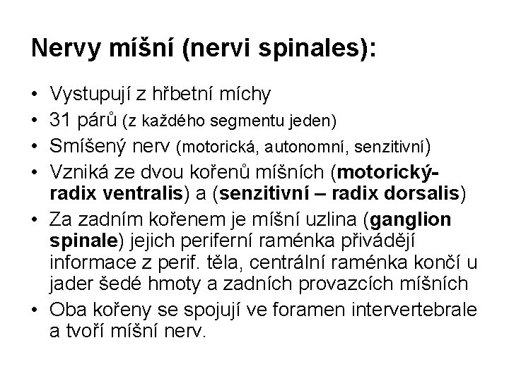 Nervy míšní (nervi spinales): • • Vystupují z hřbetní míchy 31 párů (z každého