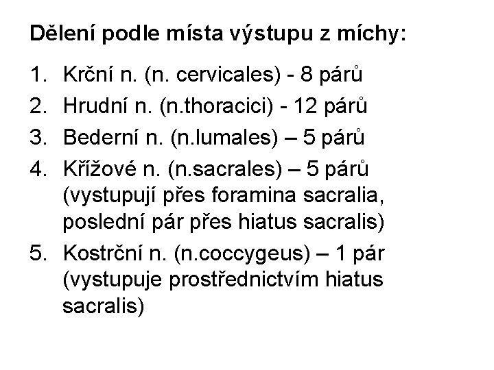 Dělení podle místa výstupu z míchy: 1. 2. 3. 4. Krční n. (n. cervicales)