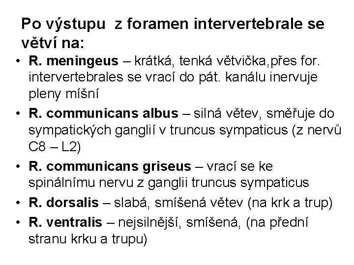 Po výstupu z foramen intervertebrale se větví na: • R. meningeus – krátká, tenká