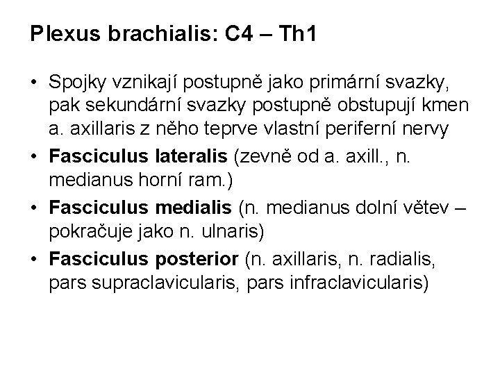 Plexus brachialis: C 4 – Th 1 • Spojky vznikají postupně jako primární svazky,