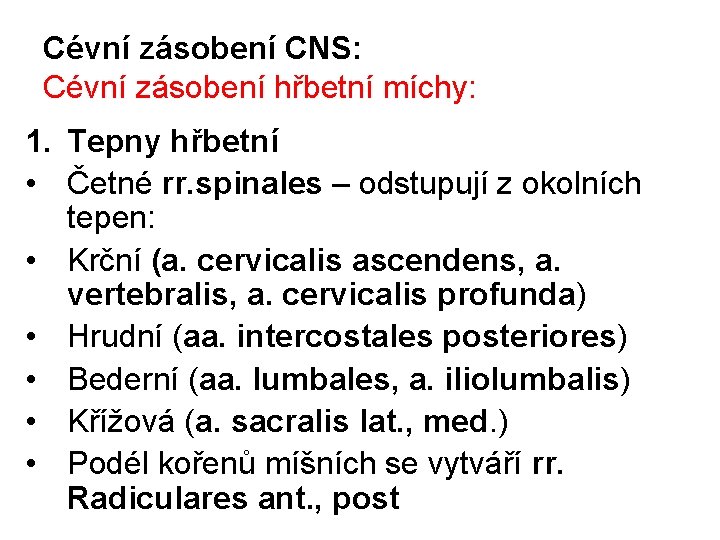 Cévní zásobení CNS: Cévní zásobení hřbetní míchy: 1. Tepny hřbetní • Četné rr. spinales