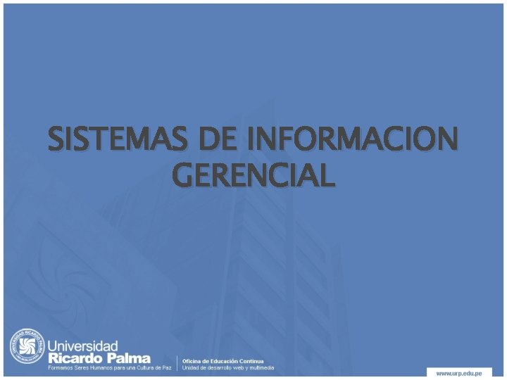 SISTEMAS DE INFORMACION GERENCIAL 