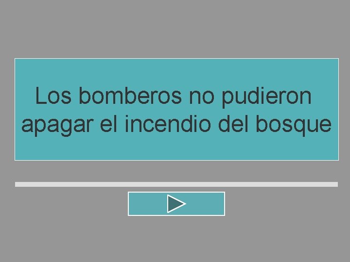 Los bomberos no pudieron apagar el incendio del bosque Los bomberos no pudieron apagar el incendio del bosque