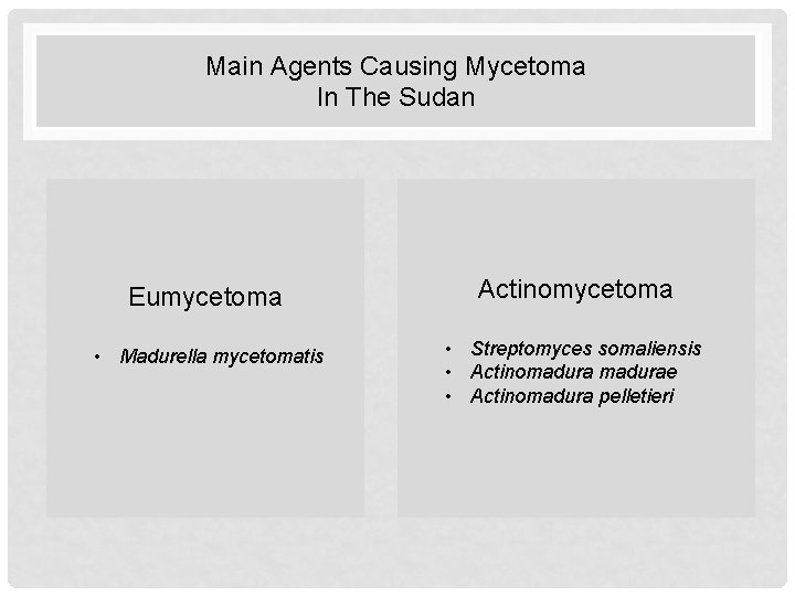 Main Agents Causing Mycetoma In The Sudan Eumycetoma Actinomycetoma • Madurella mycetomatis • Streptomyces