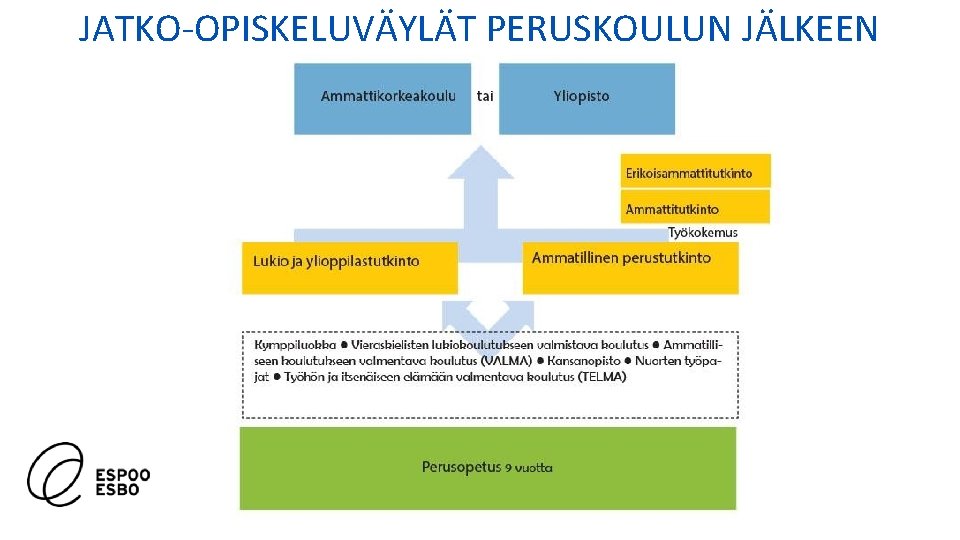 JATKO-OPISKELUVÄYLÄT PERUSKOULUN JÄLKEEN JATKO-OPISKELUVÄYLÄT PERUSKOULUN JÄLKEEN