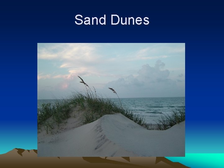 Sand Dunes 
