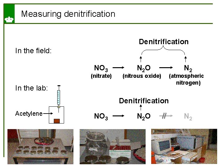 Measuring denitrification Denitrification In the field: NO 3 (nitrate) N 2 O (nitrous oxide)