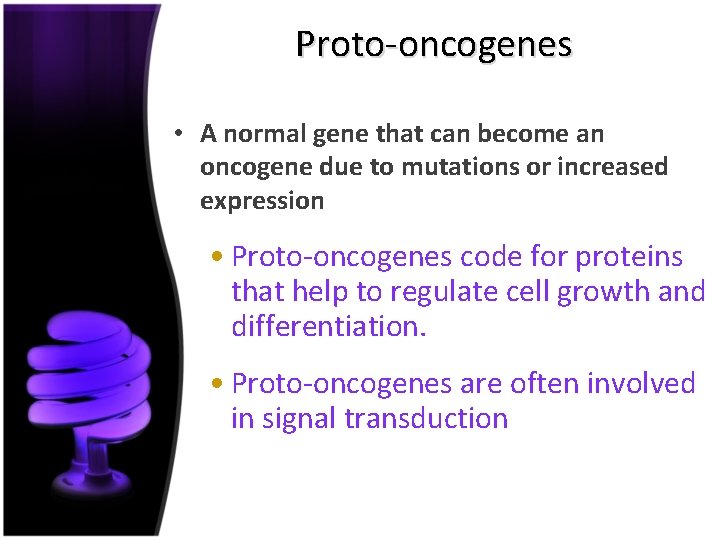 Proto-oncogenes • A normal gene that can become an oncogene due to mutations or