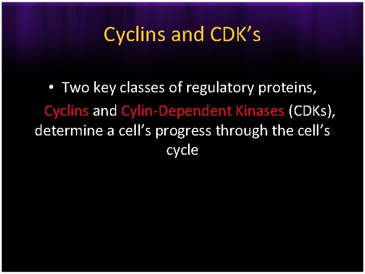 Cyclins and CDK’s • Two key classes of regulatory proteins, Cyclins and Cylin-Dependent Kinases