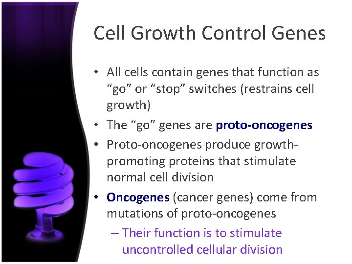 Cell Growth Control Genes • All cells contain genes that function as “go” or