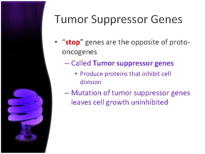 Tumor Suppressor Genes • “stop” genes are the opposite of protooncogenes – Called Tumor