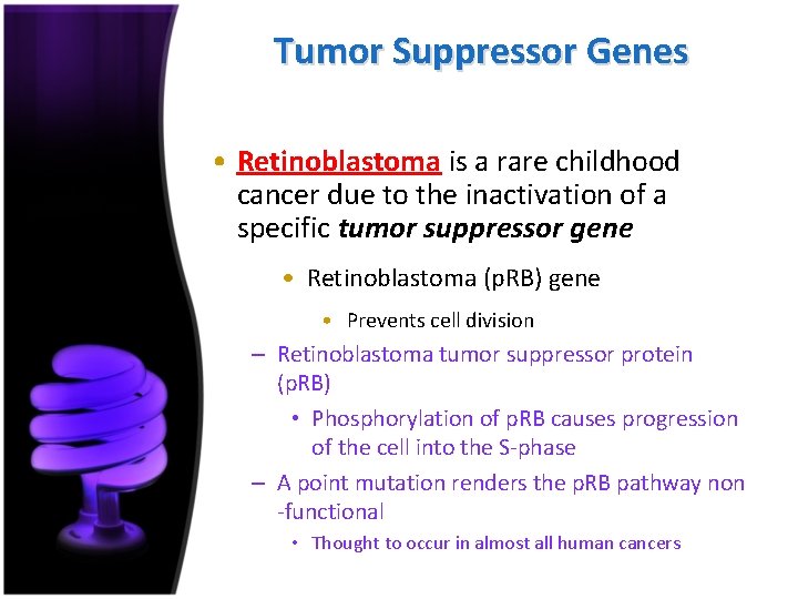 Tumor Suppressor Genes • Retinoblastoma is a rare childhood cancer due to the inactivation