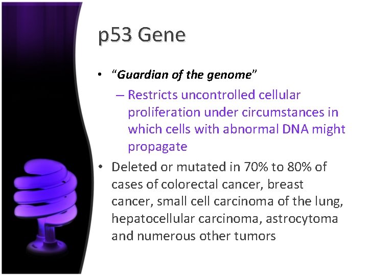 p 53 Gene • “Guardian of the genome” – Restricts uncontrolled cellular proliferation under