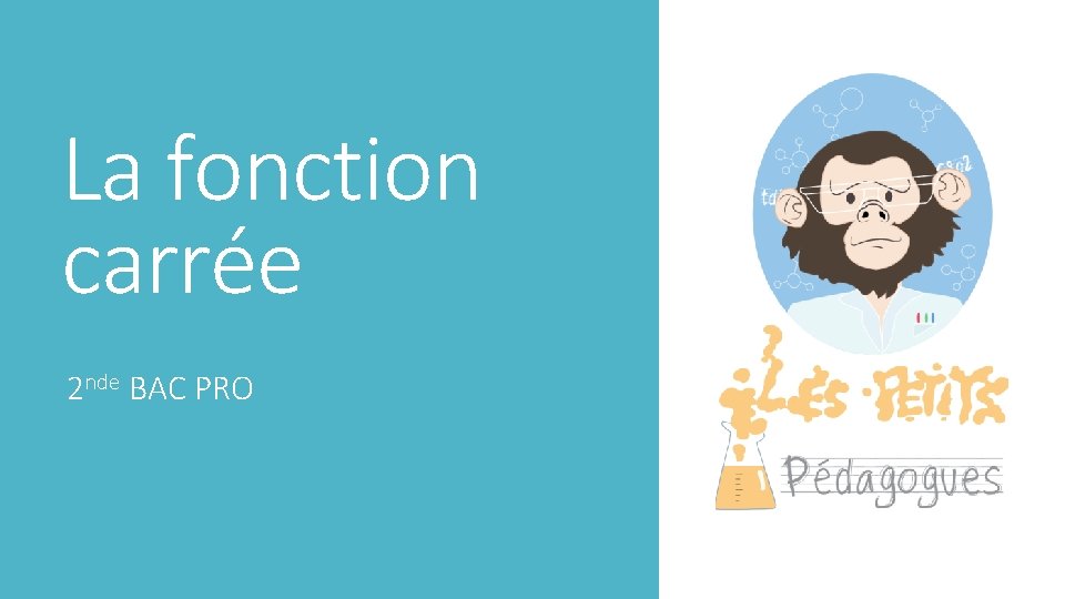 La fonction carrée 2 nde BAC PRO 