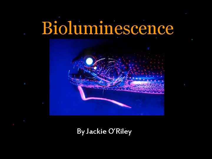 Bioluminescence By Jackie O’Riley 