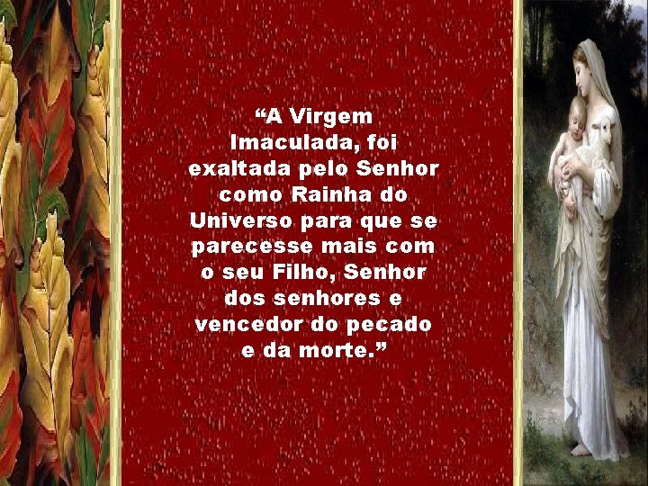 “A Virgem Imaculada, foi exaltada pelo Senhor como Rainha do Universo para que se