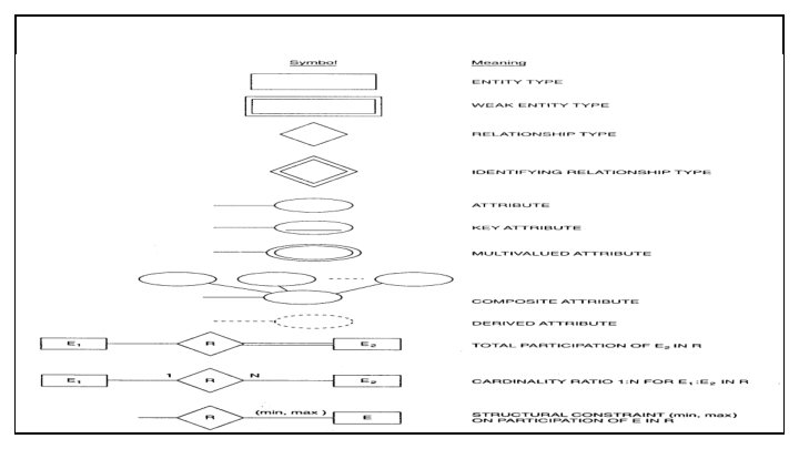 ER Data Model 