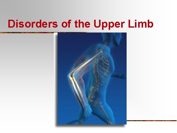Disorders of the Upper Limb 