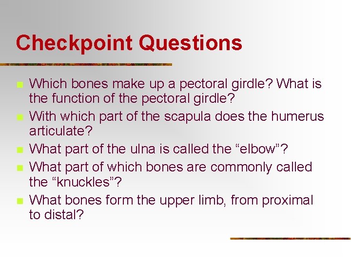 Checkpoint Questions n n n Which bones make up a pectoral girdle? What is