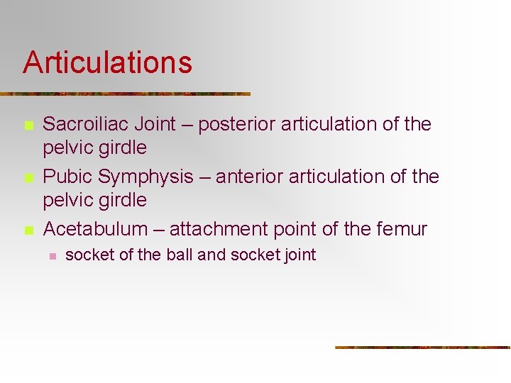 Articulations n n n Sacroiliac Joint – posterior articulation of the pelvic girdle Pubic