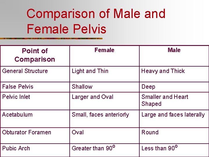 Comparison of Male and Female Pelvis Female Point of Comparison Male General Structure Light