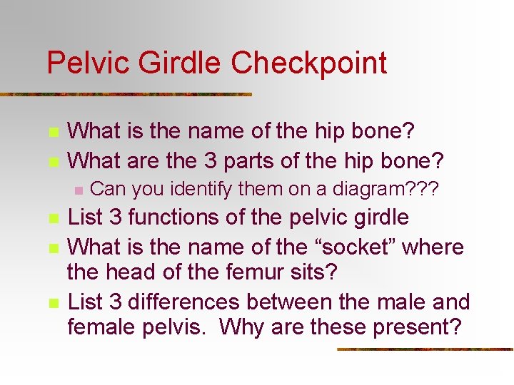 Pelvic Girdle Checkpoint n n What is the name of the hip bone? What