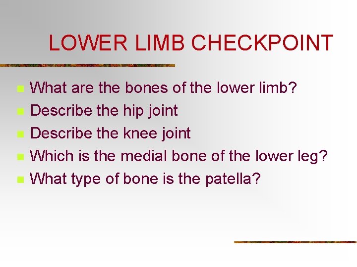 LOWER LIMB CHECKPOINT n n n What are the bones of the lower limb?