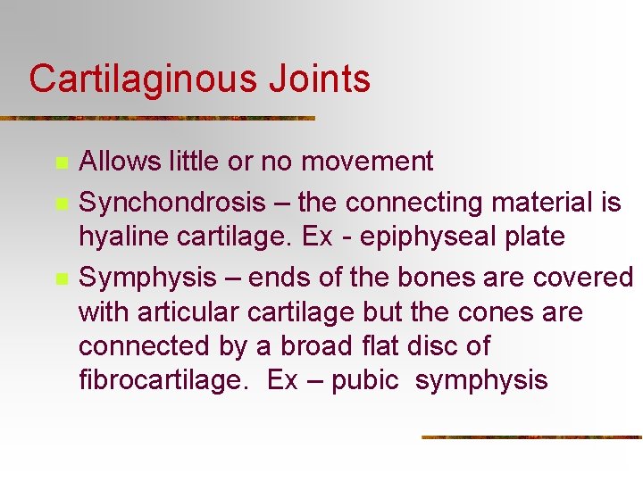 Cartilaginous Joints n n n Allows little or no movement Synchondrosis – the connecting