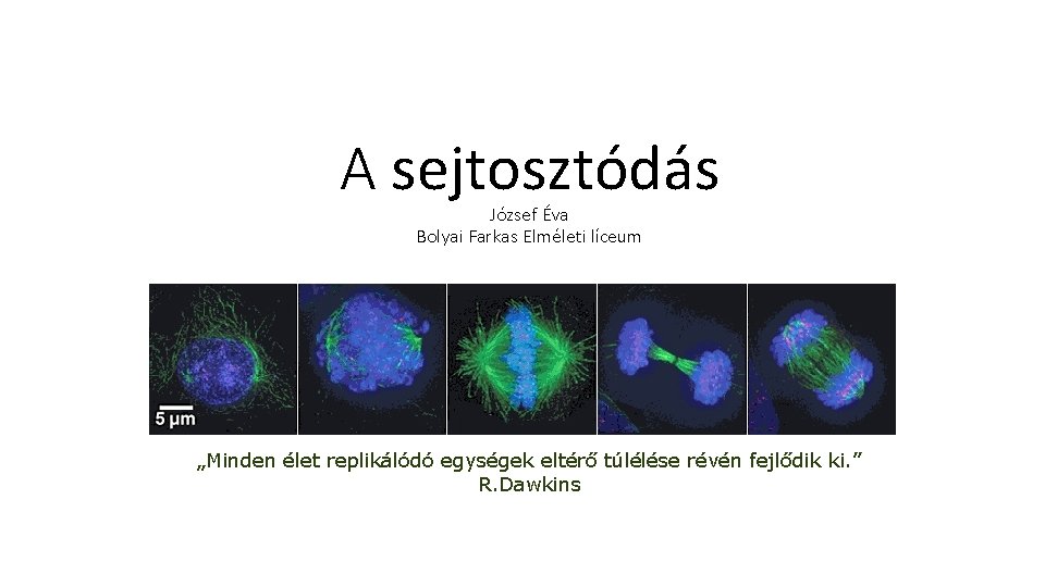 A sejtosztódás József Éva Bolyai Farkas Elméleti líceum „Minden élet replikálódó egységek eltérő túlélése