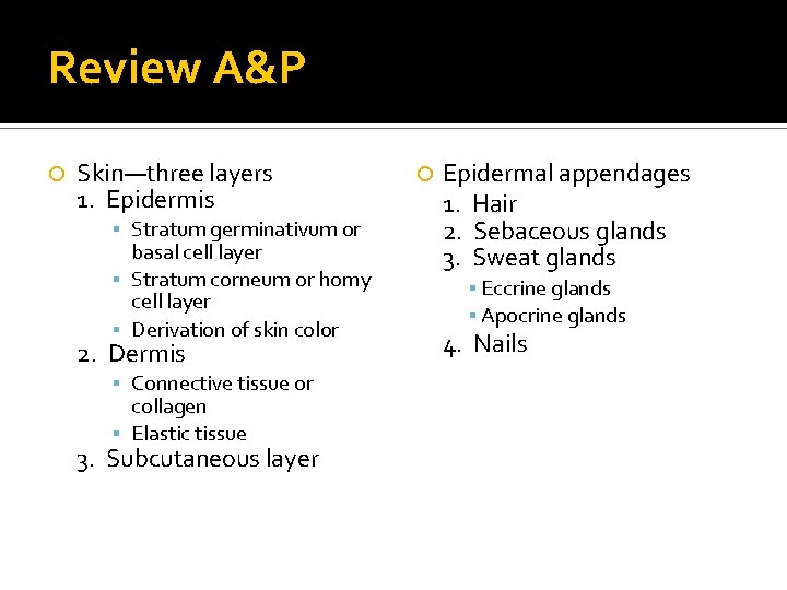 Review A&P Skin—three layers 1. Epidermis Stratum germinativum or basal cell layer Stratum corneum Review A&P Skin—three layers 1. Epidermis Stratum germinativum or basal cell layer Stratum corneum