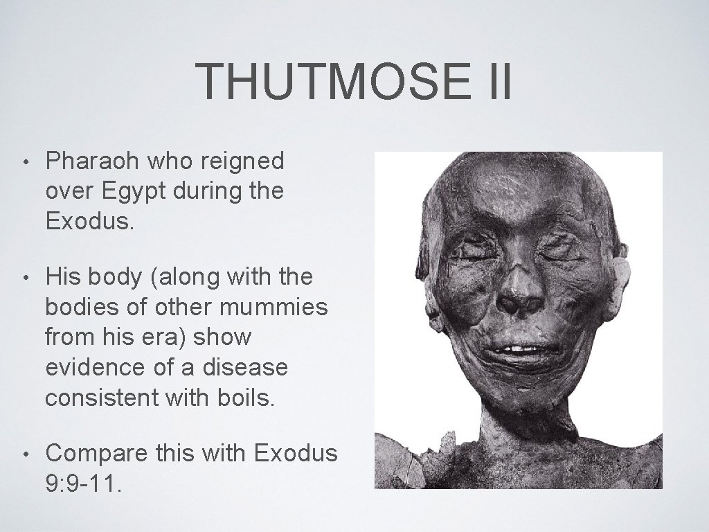 THUTMOSE II • Pharaoh who reigned over Egypt during the Exodus. • His body