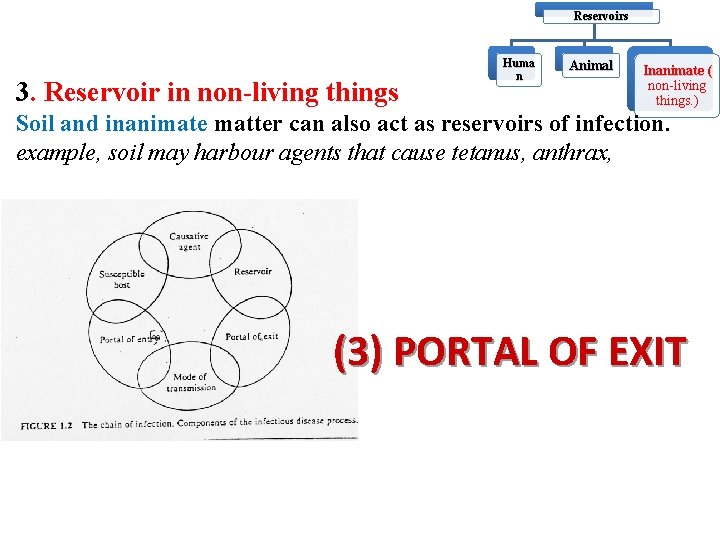 Reservoirs 3. Reservoir in non-living things Huma n Animal Inanimate ( non-living things. )