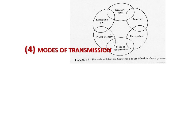 (4) MODES OF TRANSMISSION 