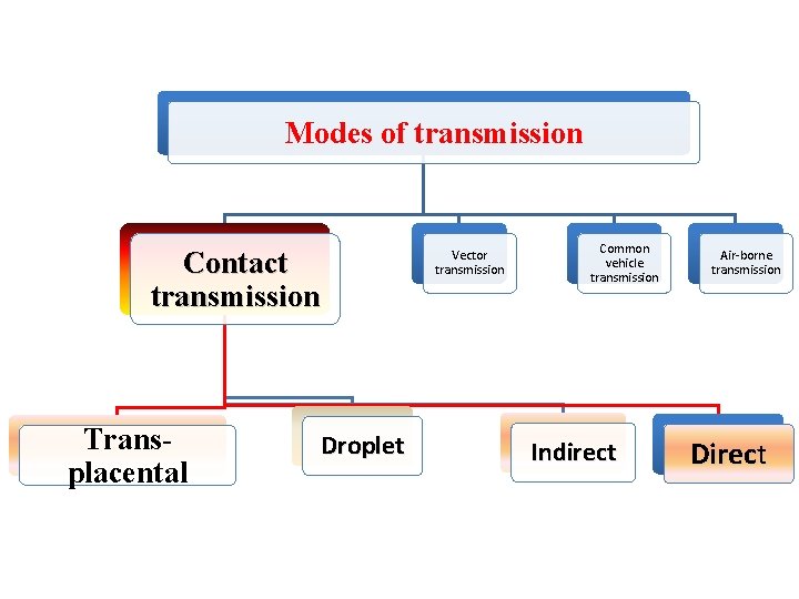 Modes of transmission Contact transmission Transplacental Droplet Vector transmission Common vehicle transmission Indirect Air-borne