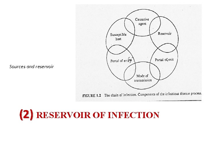 Sources and reservoir (2) RESERVOIR OF INFECTION 