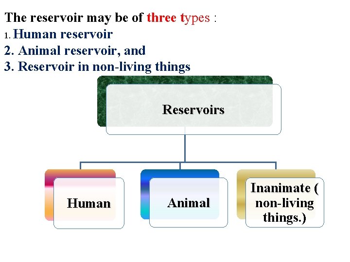 The reservoir may be of three types : 1. Human reservoir 2. Animal reservoir,