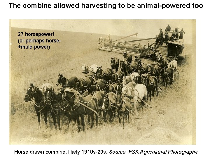 The combine allowed harvesting to be animal-powered too 27 horsepower! (or perhaps horse+mule-power) Horse
