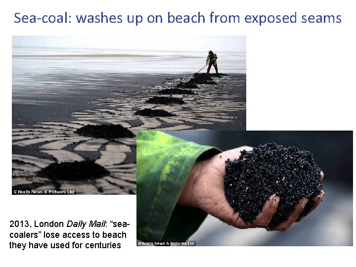 Sea-coal: washes up on beach from exposed seams 2013, London Daily Mail: “seacoalers” lose