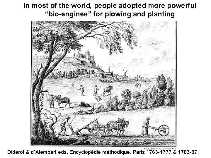 In most of the world, people adopted more powerful “bio-engines” for plowing and planting