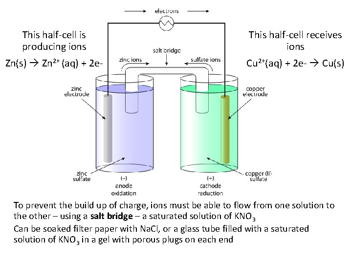 This half-cell is producing ions This half-cell receives ions Zn(s) Zn 2+ (aq) +