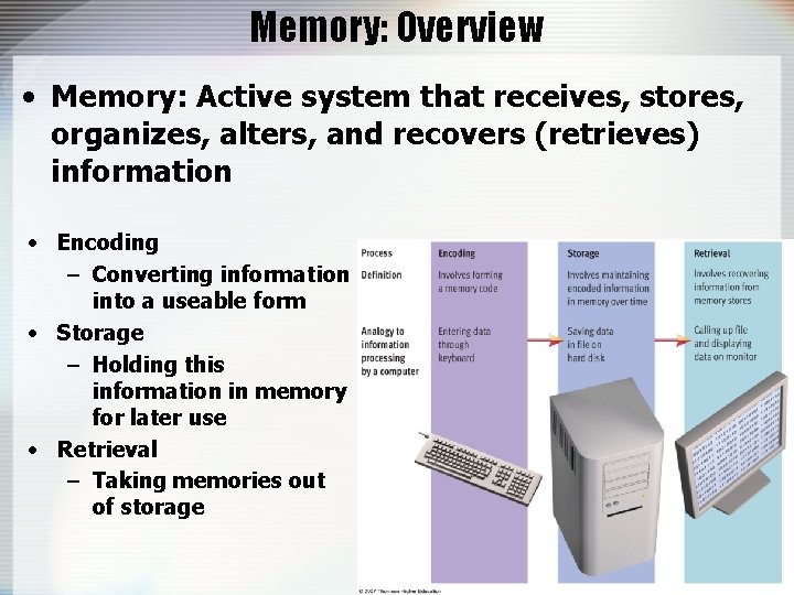 Memory: Overview • Memory: Active system that receives, stores, organizes, alters, and recovers (retrieves)