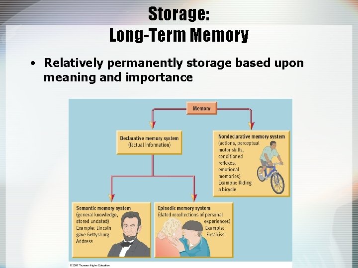 Storage: Long-Term Memory • Relatively permanently storage based upon meaning and importance 