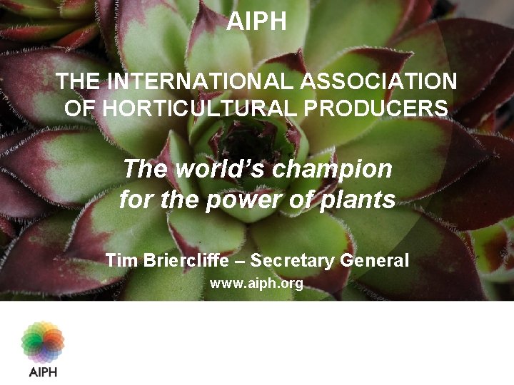 AIPH THE INTERNATIONAL ASSOCIATION OF HORTICULTURAL PRODUCERS The world’s champion for the power of