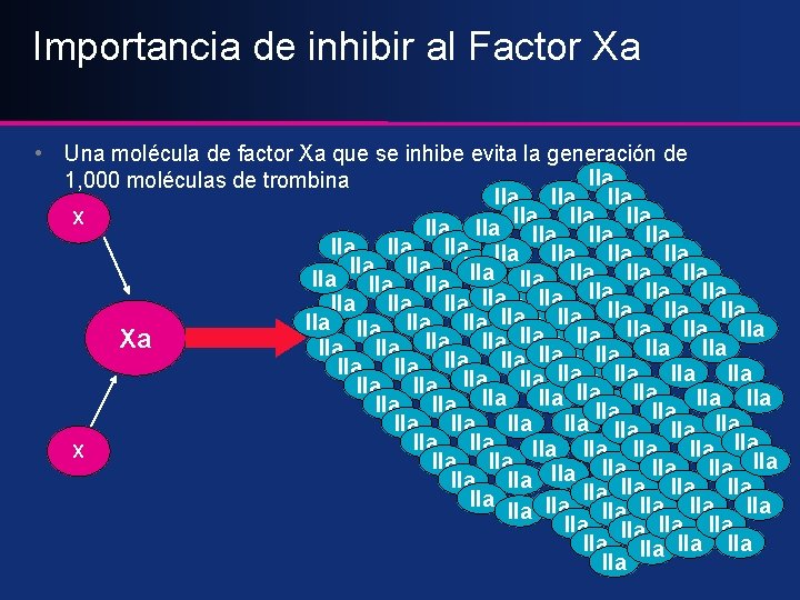 Importancia de inhibir al Factor Xa • Una molécula de factor Xa que se