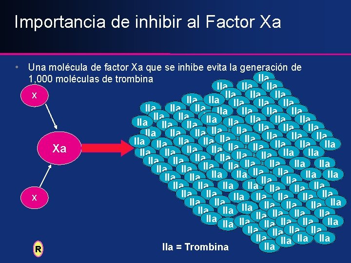 Importancia de inhibir al Factor Xa • Una molécula de factor Xa que se