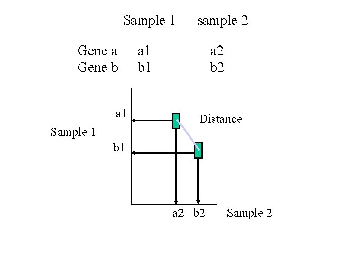 Sample 1 Gene a Gene b a 1 Sample 1 sample 2 a 1 Sample 1 Gene a Gene b a 1 Sample 1 sample 2 a 1