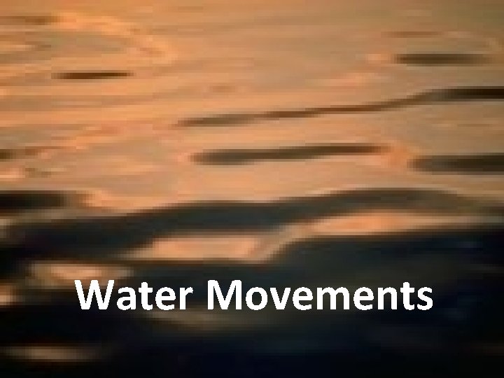 Water Movements 